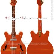 DANELECTRO CORAL FIREFLY 2N GUITAR – VintageSilvertones