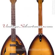 Danelectro Coral T2N6 Teardrop – circa 1968 – VintageSilvertones