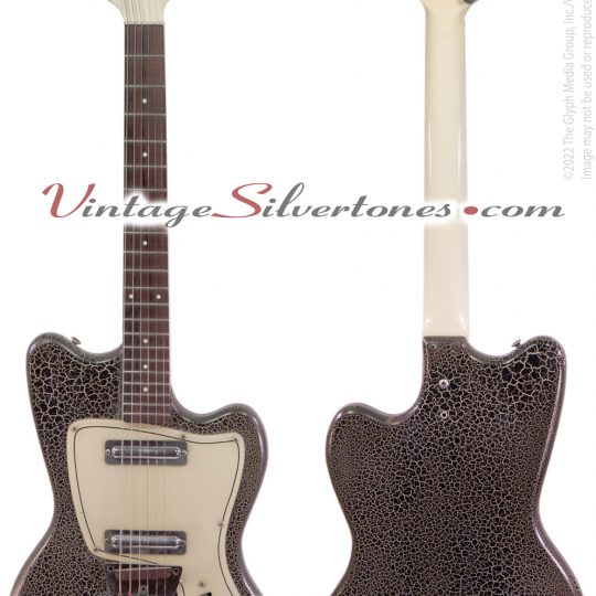 Danelectro made Dane series B2N - guitar front and back